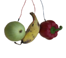 Fruits